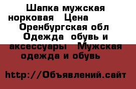 Шапка мужская норковая › Цена ­ 1 500 - Оренбургская обл. Одежда, обувь и аксессуары » Мужская одежда и обувь   